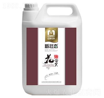 �_ʩ��-����Ц-�������