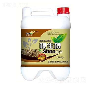 ������-���a����