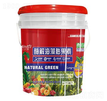 ø�⺣�������-���Z��