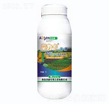 ħ��������-����ɭ-��������