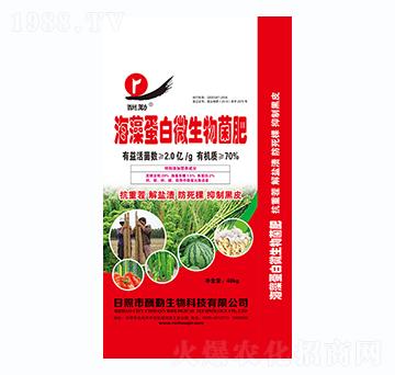 ���嵰��΢�������-����