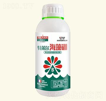 ������-���R��