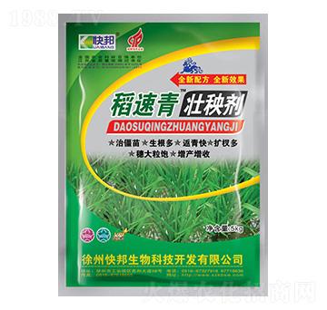 ���������턩-�������