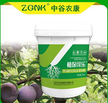 ������-ֲ���ɘ�-�й��r(n��ng)��