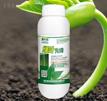 �G�~���h-����(l��)��