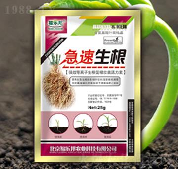 ��������-����(l��)��