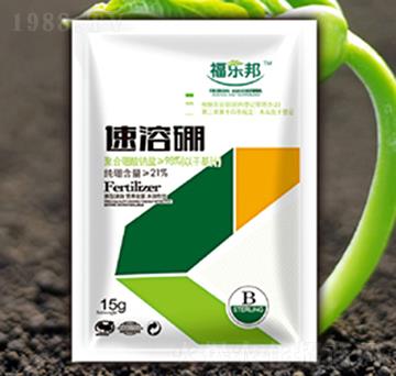 ������-����(l��)��