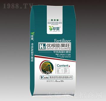 ��(y��u)�������-����ʘI(y��)