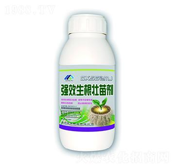 �����������焩-����ʘI(y��)