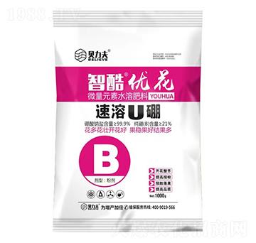 �ǿპ(y��u)��-ؐ����-� ��S