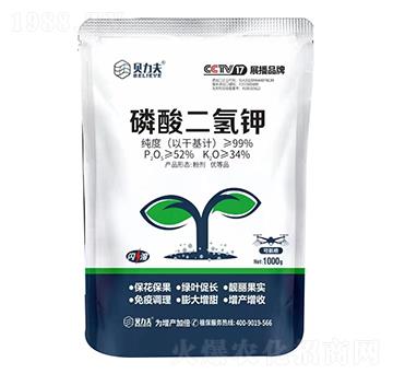 1000g��������-ؐ����-� ��S