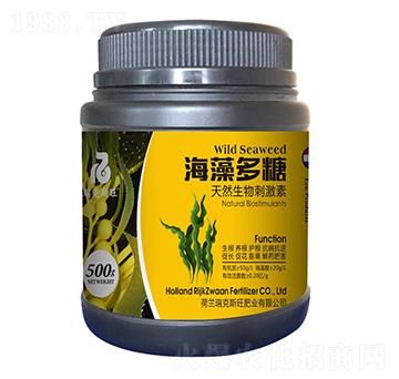 �������-���˹��