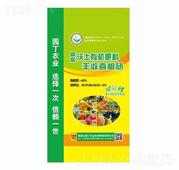 ��ü�����ЙC����-�@���r(n��ng)�I(y��)