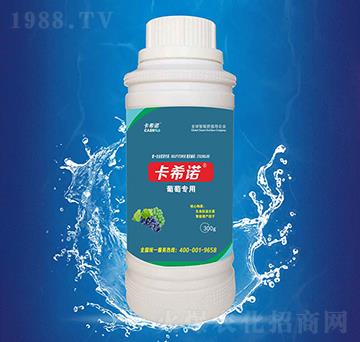 ���ь���-��ϣ�Z