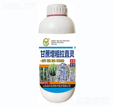 ����������ֱ�`-��(zh��n)܇(ch��)