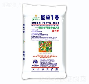 �ЙC(j��)����-��(gu��)��1̖(h��o)-��