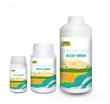 �Ǵ���-������-�M������