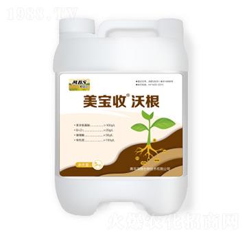 �ָ�-������-�M������