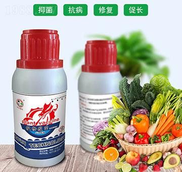 ֲ������-���r(n��ng)����