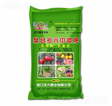 ���϶�Ԫ��΢��-����