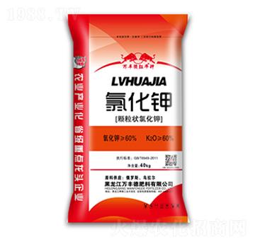 �w�����Ȼ��-�f(w��n)�S��