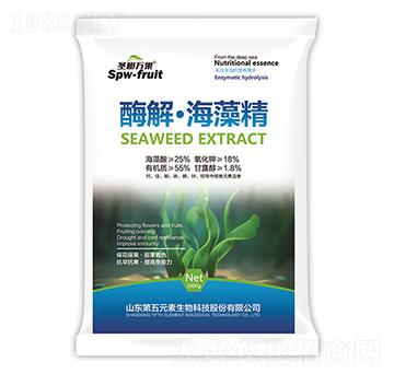 ø�⡤���徫-ʥ���f��-����Ԫ��