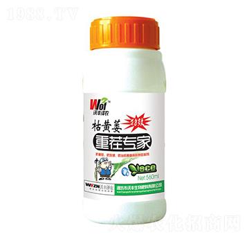 ���Sή�ز猣��-���S���r-���S����