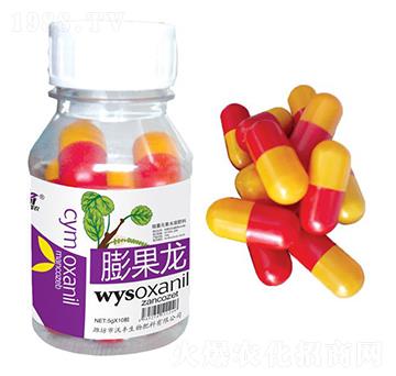 �����-���S���r-���S����