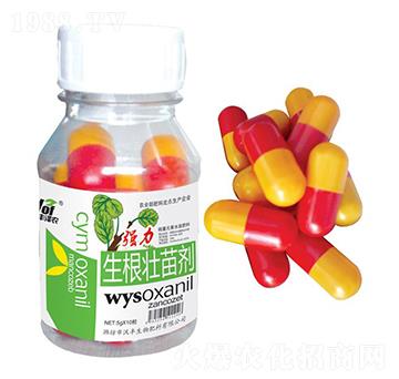 �����������焩-���S���r(n��ng)-���S����