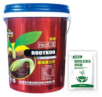 ̼ø������-���-����Ԫ��