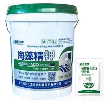 ���徫�-����Ԫ��