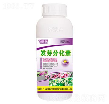 �l(f��)ѿ�ֻ���-�Z����