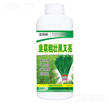 �²˴։Ѻ�����-�Z����