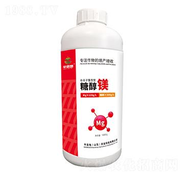 �Ǵ��V-�뮀��