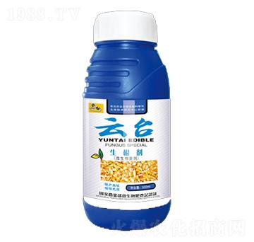 ������-���_(t��i)