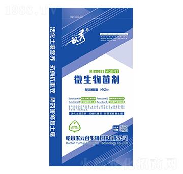 ����΢�������-���_(t��i)