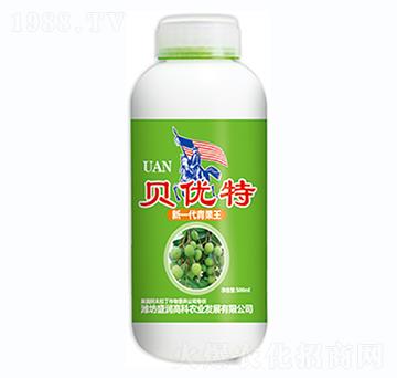 ؐ��(y��u)��-ʢ��(r��n)�߿�