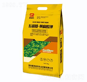 ���������S�����-ʢ���߿�