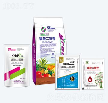 ��������-ʢ��(r��n)�߿�