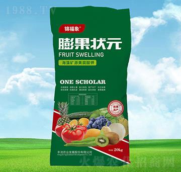 ����VԴ�S�����-�����Ԫ-�S���r(n��ng)�I(y��)