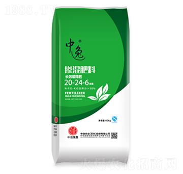 �������20-24-6-�����r�I(y��)