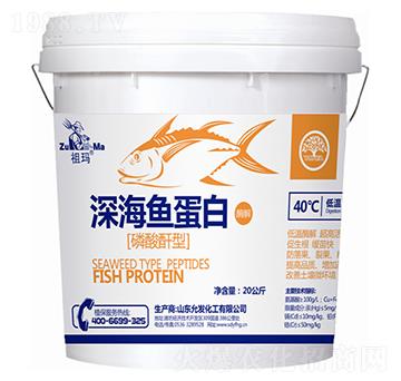 ����������~����-�欔-�ʰl(f��)����