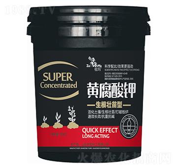 �����������S�����-�欔-�ʰl(f��)����