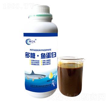 ���ǡ��~����-�|������