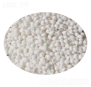 �w���D����ɒ��A�Ȼ��@-���r����