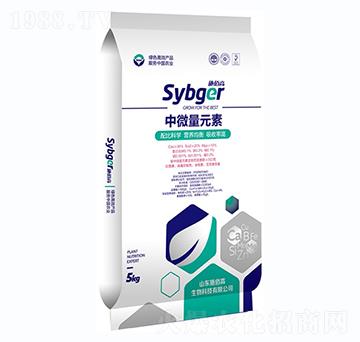 ��΢��Ԫ��-ʩ�۸�