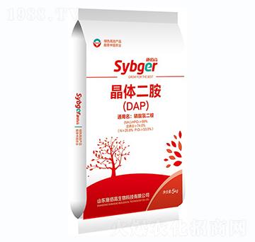 ���w������DAP��-ʩ�۸�