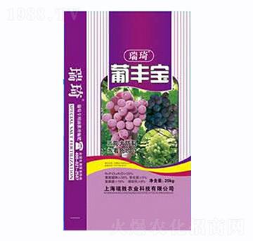 ���S��-����-�����r�I(y��)