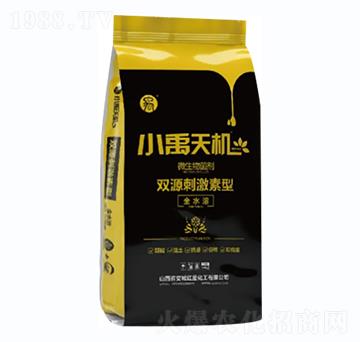 ΢�������-С����C-С��