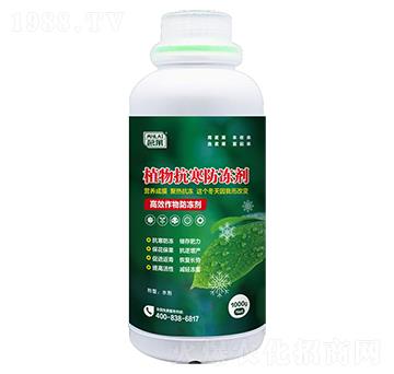 ֲ�￹��������-���R